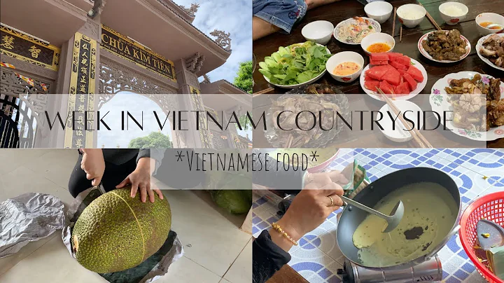 Vietnam diaries | what I eat | sight seeing