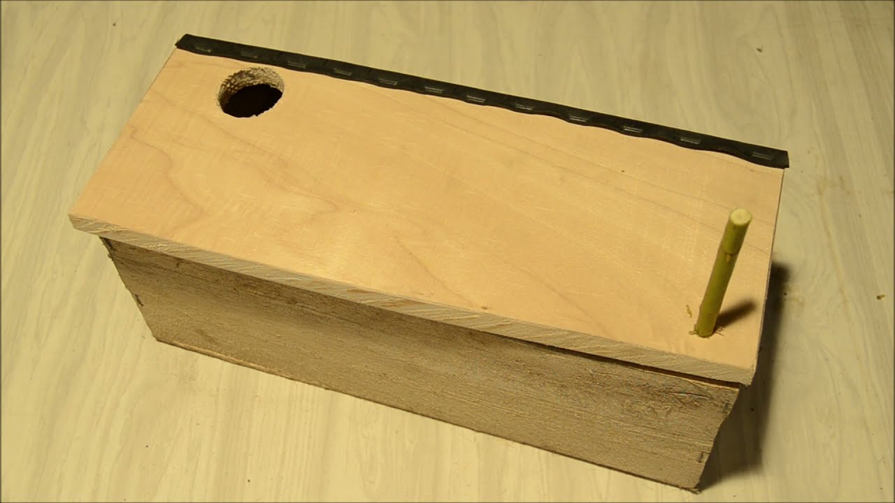 Construire un nichoir pour moineau domestique