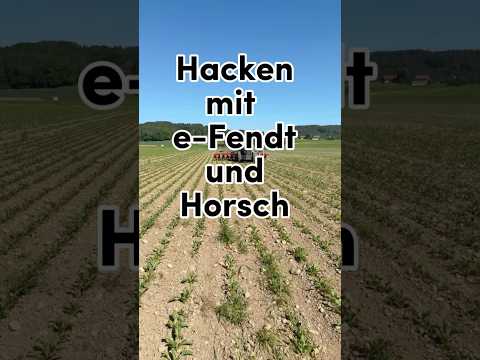 Hacken mit e-Fendt und Horsch