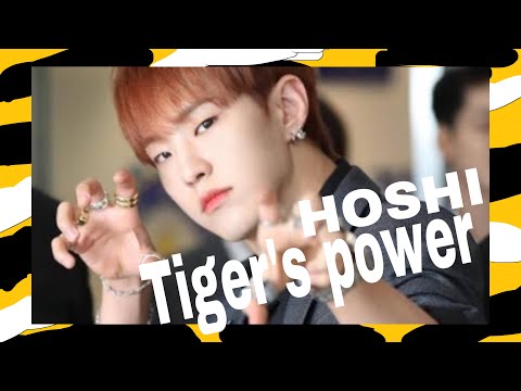 [日本語字幕/和訳] SEVENTEEN HOSHI (세븐틴 호시) Tiger's power (호랑이 power) 가사