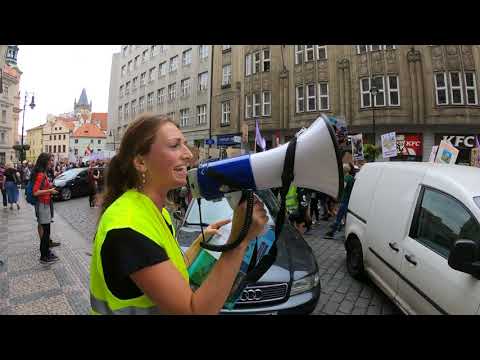 4K 60fps video: The Animal Rights March 2019 (Prague, 17.08.19).