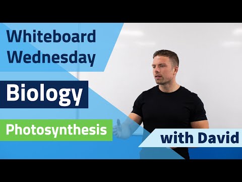 Leaving Cert Biology - Photosynthesis