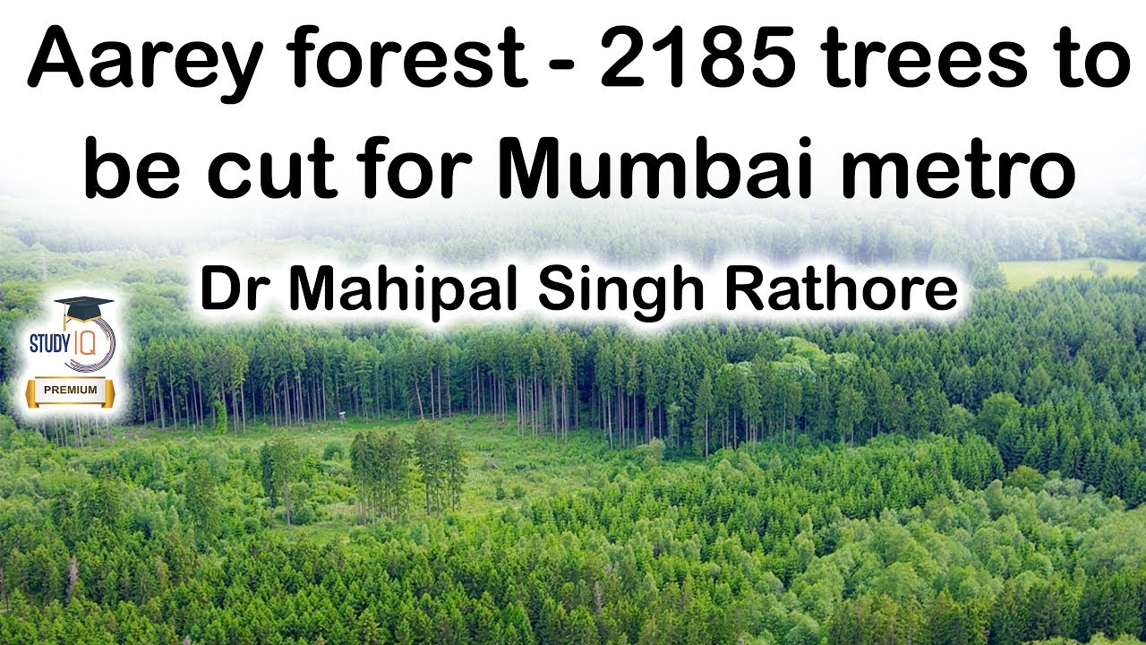 Aarey Forest issue, 2185 trees to be cut for Mumbai metro, Mumbaikars stage protest 