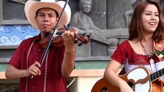 Trío Corazón de Cedro - La Vara De Mi Violín y La Petenera chords