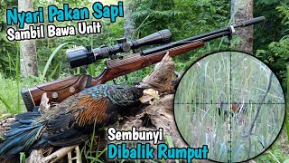 GREAT‼️ Looking for cow feed instead got JUNGLE CHICKEN points