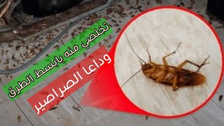 خلال يومين ستختفي الصراصير(سراق زيت) و بيضها من منزلك بهذه الطرق الطبيعية و البسيطة