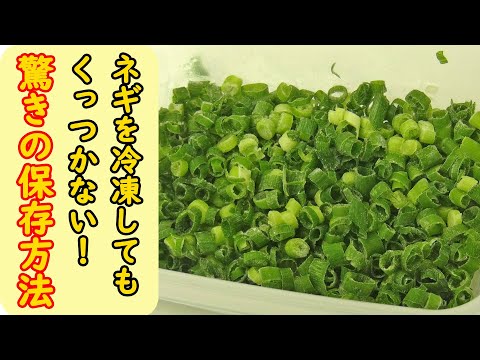 冷凍してもパラパラになるネギの保存はこうすればいい！驚きの方法はこちら