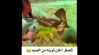 الصقر أعلن توبته من الصيد ??/ مقطع  مضحك /  طريقه لصيد الصقور سهله وفعاله  /