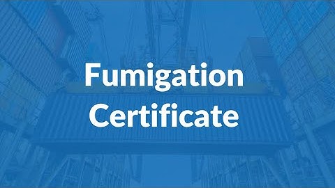 What is Fumigation Certificate | Why this is important in Export Shipment | Detail Information