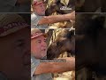 He stayed to care for Lebanon's animals under Israeli bombs