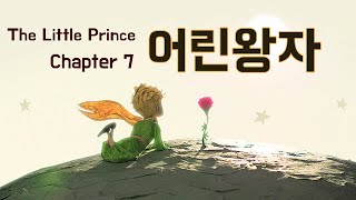 영어원서 읽기 어린왕자 the little prince ; chapter 7 | 동화로 배우는 영어 회화 | 영어 오디오북 The Little Prince Chapter 7