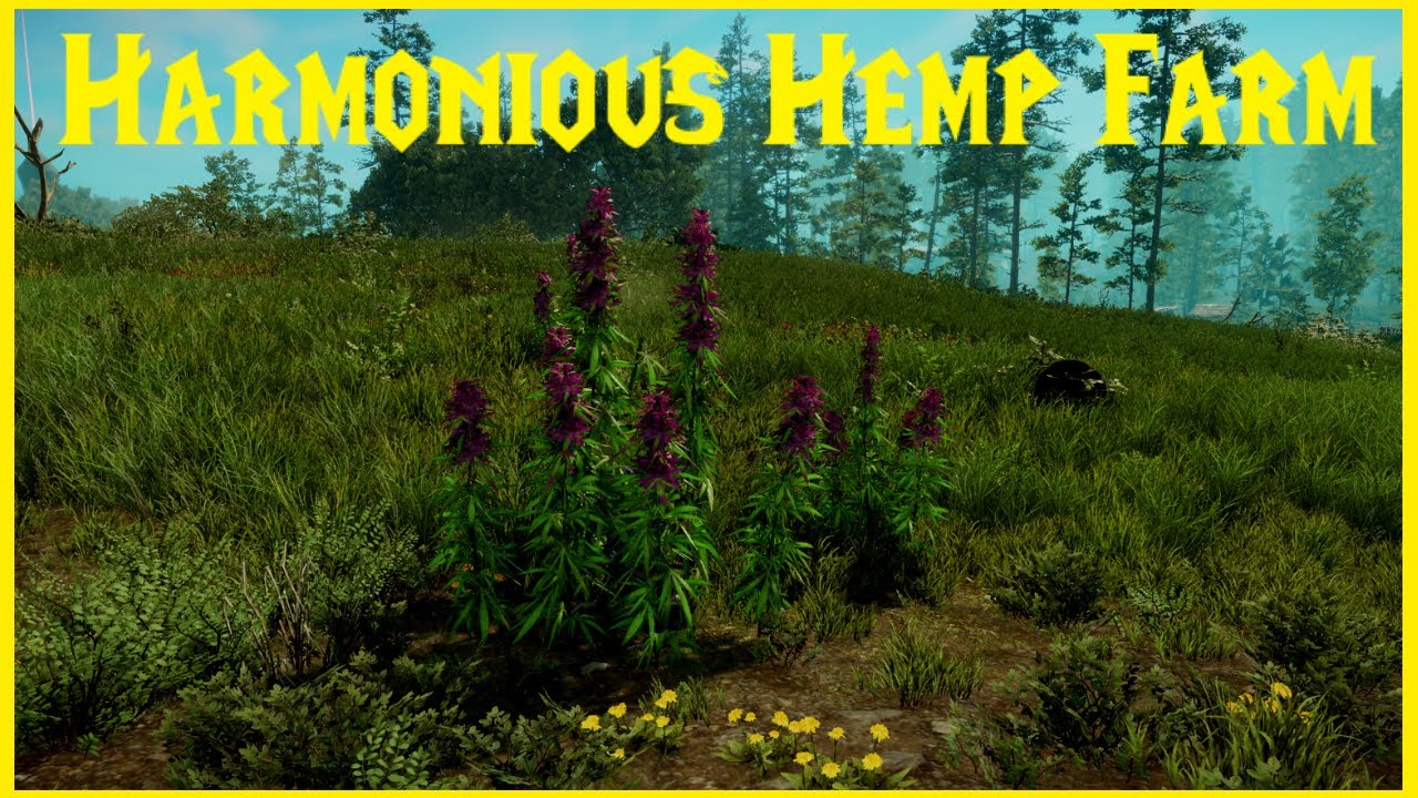 New World Harmonious Hemp Farm YouTube