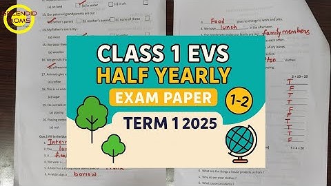 Class 1 EVS question paper Half Yearly SA1 Term 1 
