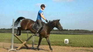 (720 HD) little video, jumping with Andorra!
