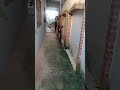 INTENCIONAL