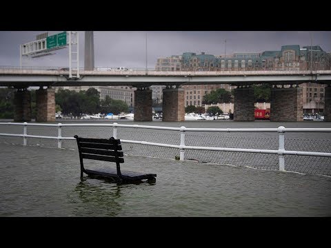 Torrential rain causes major flash flooding in Washington D.C. area
