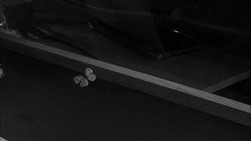 Butterfly in forward flight