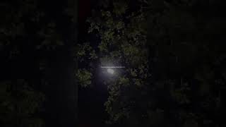 rain #speedsong #music #nightbeauty #thunder #weather #lighting