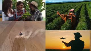 Famous Albaugh, LLC - Your Alternative Wealth