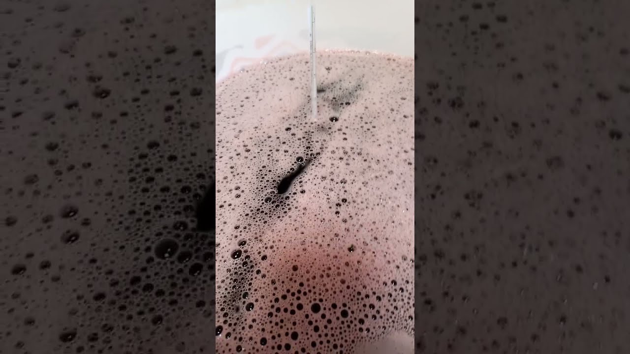 Вино из моно- концентрата винограда Merlot полная инструкция по постановке