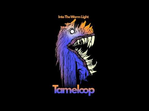 Tameloop - Into The Warm Light