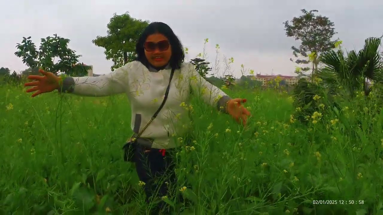 Du xuân công viên văn lang