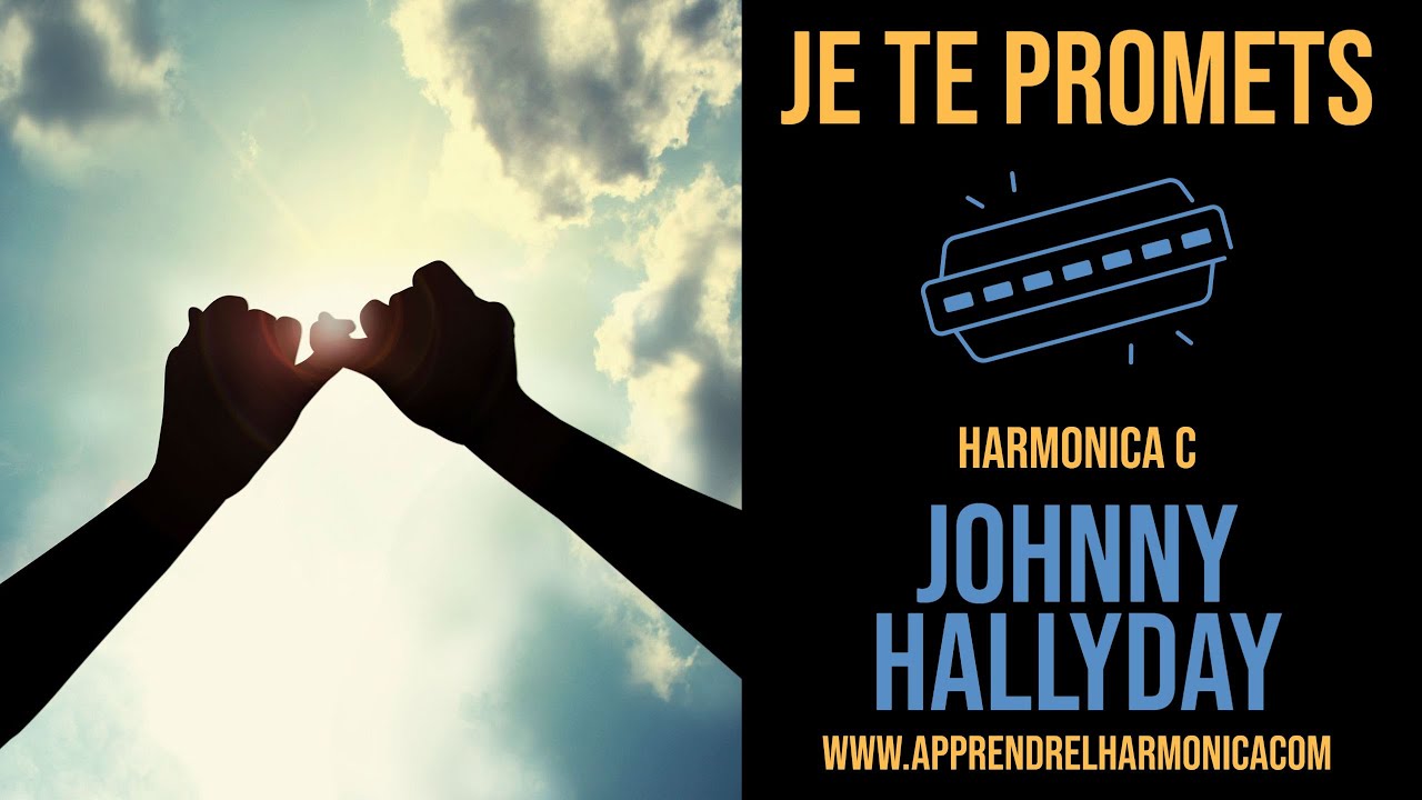 Je Te Promets Johnny Hallyday Harmonica C Youtube