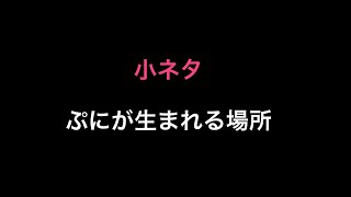 【小ネタ】ぷにが生まれる場所　妖怪ウォッチぷにぷに