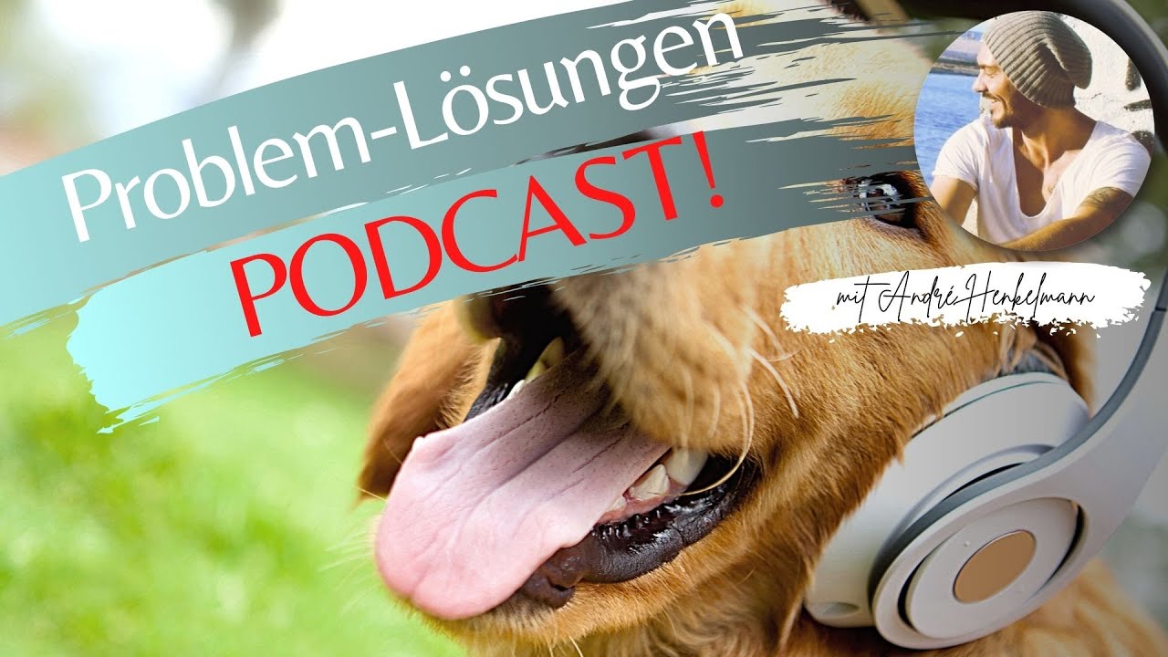 So löst du Probleme mit deinem Hund (Podcast) YouTube