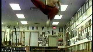 DVD 3: 3 Kicks in Air, One Jump- Over 60 Different Kicks (Grandmaster Kwon)
