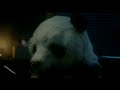 TVCM sony music パンダ smooth1
