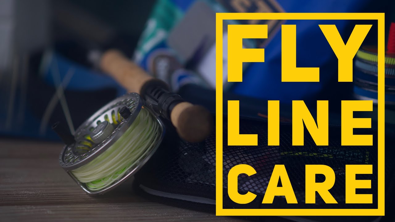 The BEST Way to Protect and Clean Your Fly Fishing Lines