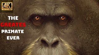 The Rise and Fall of Gigantopithecus Blacki
