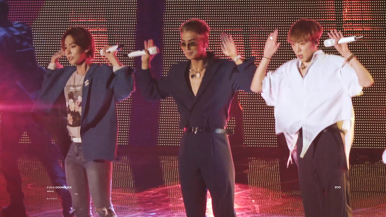 190629 WWIC. 동물의 왕국. WINNER 송민호.