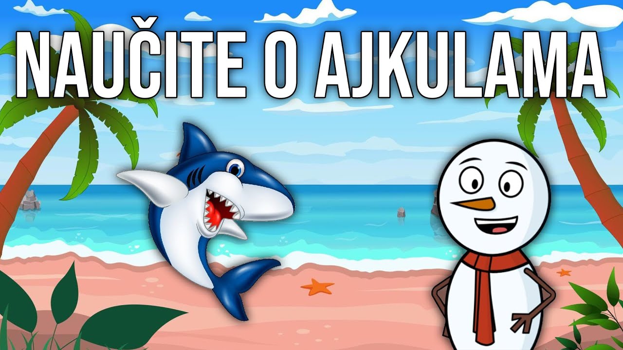 Naučite o Ajkulama sa Sneškom (edukativni video za decu)