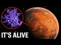 NASA Brought Back A Mars Sample Then Found THIS Inside 