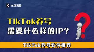tiktok为什么要养号？tiktok如何养号？tiktok养号一定要做的几件事你知道吗？养号软件推荐 tiktok静态ip养号 TK加速器一键搭建海外环境