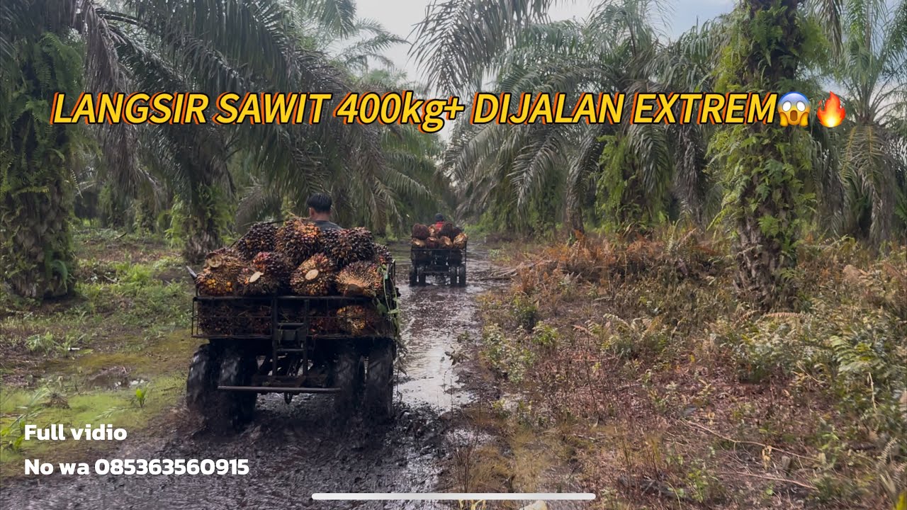 SUPER PRAKTIS! SEMUA SERBA BISA KALAU ADA ALAT LANGSIR INI🔥🤩