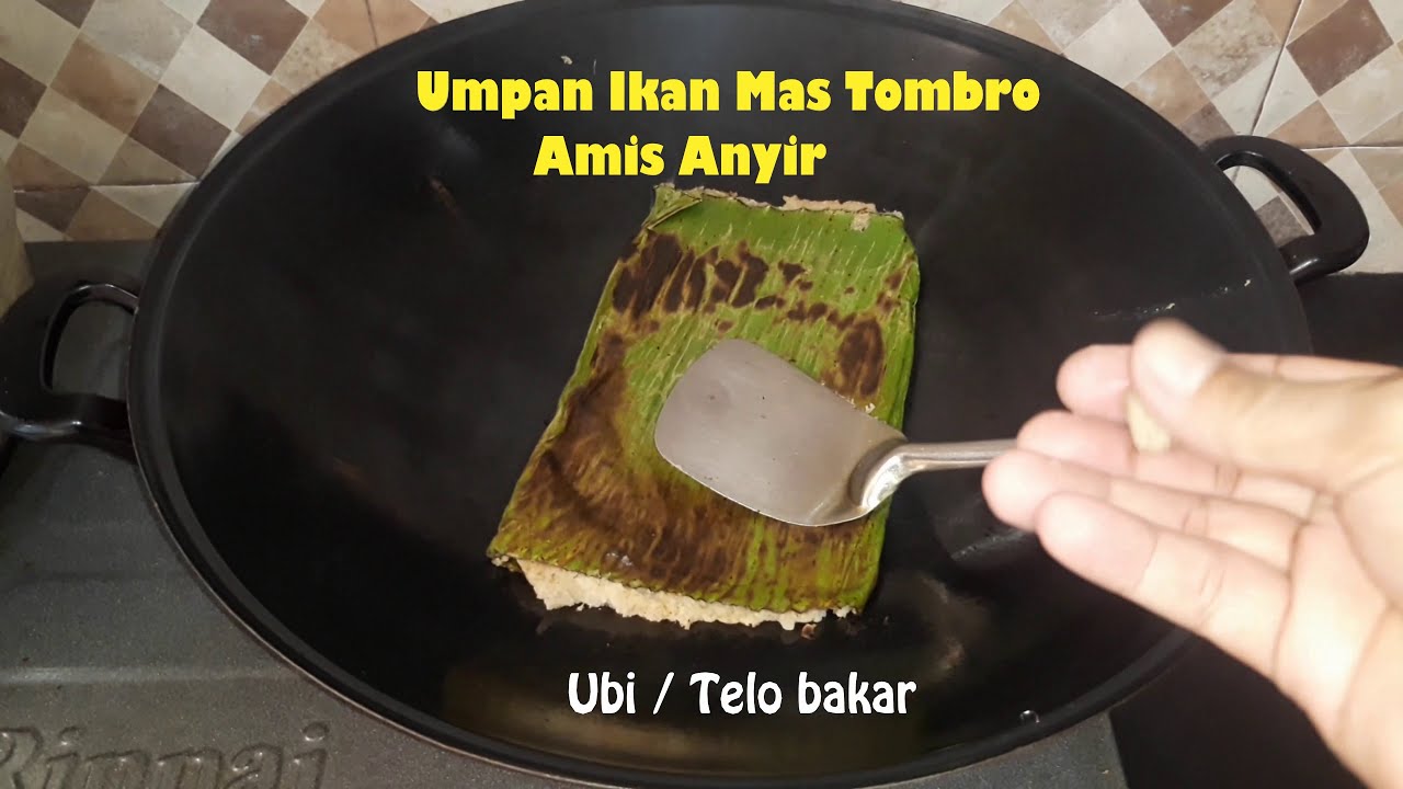 Umpan ikan Mas Tombro Amis Anyir bahan dasar Ubi Telo