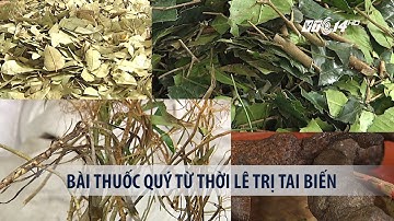 (VTC14)_ Bài thuốc quý từ thời Lê trị tai biến