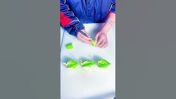 # Fruit and Vegetable Modeling# Simple and Easy to Learn# Knife Worker# Series as soon as you learn