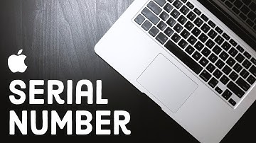 How to Find Serial Number on Any Macbook (2023)