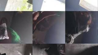 FeFeN SiiS ❤❤❤