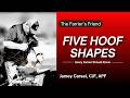 The Five Hoof Shapes - Every Farrier Should Know