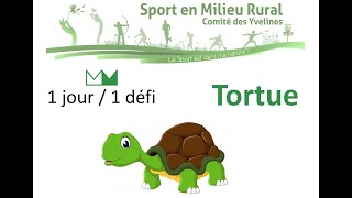 1 Jour / 1 Défi - La Tortue