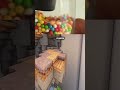 The Laziest Cat in the World #viral #minecraft #gameplay #funny #shorts #shortvideo