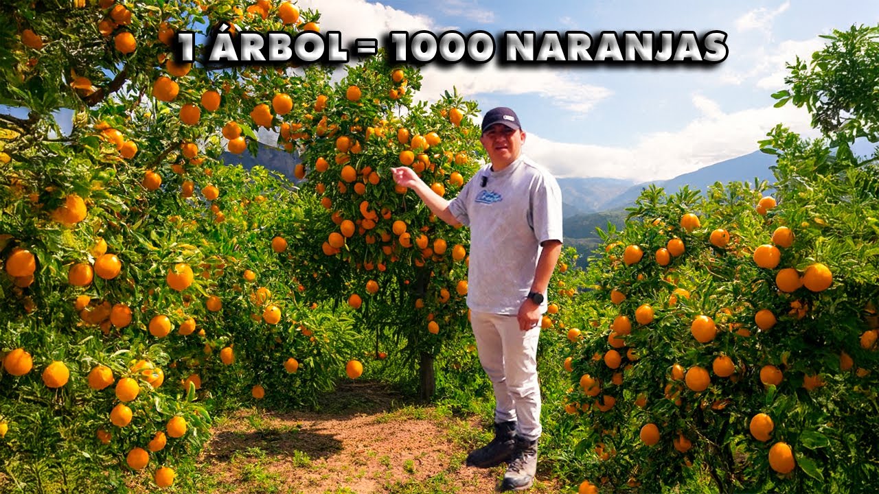 ENCONTRÉ UN JARDÍN DEL EDÉN EN LOS ANDES 🏔️, PRODUCE DE TODO 🍊🌱I GEO LEMA