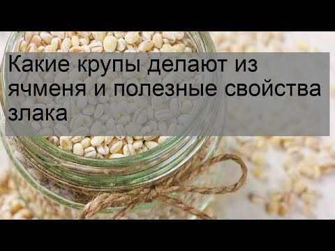 Какие крупы делают из ячменя и полезные свойства злака