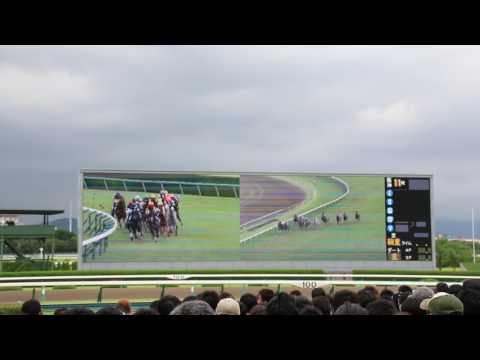 【JRA】私は、そこにいた ~I was there~ (阪神競馬場Ver.)