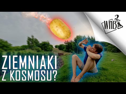 Ziemniaki z kosmosu?